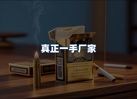 专业团队办公环境